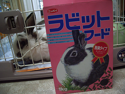 20060924.jpg