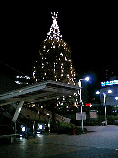 20061124.jpg