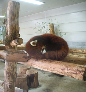 20070127.jpg