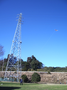 20080101.jpg