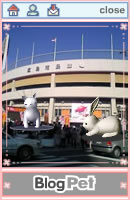 20060215.jpg